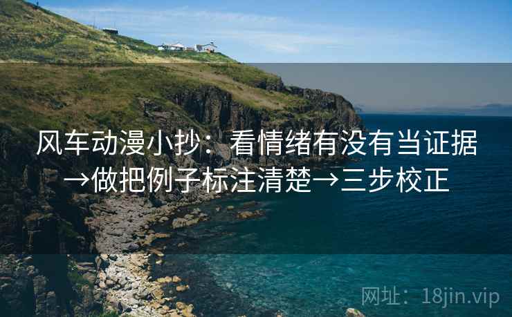 风车动漫小抄：看情绪有没有当证据→做把例子标注清楚→三步校正